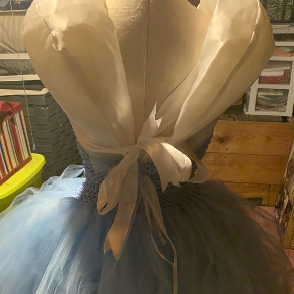 Amazing Handmade Cinderella Costume - Picture 4 of 4